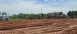 Land for Sale in Wakiso Bulabakulu - 3