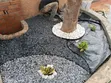 Garden Decoration Stones & Design Services - 4