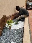 Garden Decoration Stones & Design Services - 5