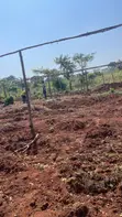 3 Titled Acres Farmland for Sale in Baale, Kayunga - 3