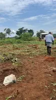 3 Titled Acres Farmland for Sale in Baale, Kayunga - 4