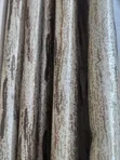 Brand New Bedroom Curtains - 2
