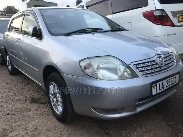 Toyota Allex 2006 Silver - 1