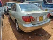 Toyota Corolla 2008 Gold - 2