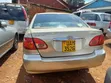 Toyota Corolla 2008 Gold - 3