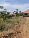 Two Plots for Sale in Nakirebe - 3