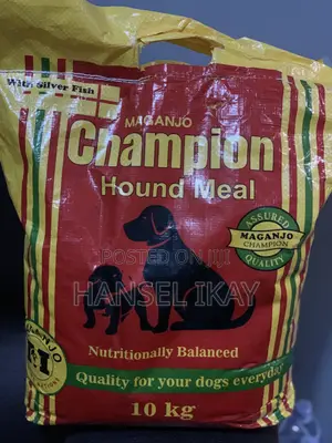 Champion Hound Meal with Silver Fish