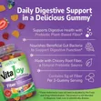 21st Century VitaJoy Fiber 5g Gummies - 2
