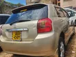 Toyota Allex 2006 Gold - 1
