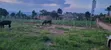 Mount Olives High-School Estate Land for Sale - 2