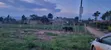 Mount Olives High-School Estate Land for Sale - 4