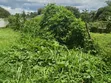 One Acre Commercial Land for Sale in Fort Portal City - 2