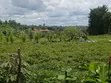 One Acre Commercial Land for Sale in Fort Portal City - 3