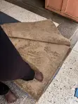 Gold Galaxy Carpets - Wall to Wall - 2