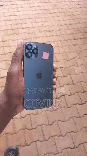 Apple iPhone 12 Pro 256GB Gray