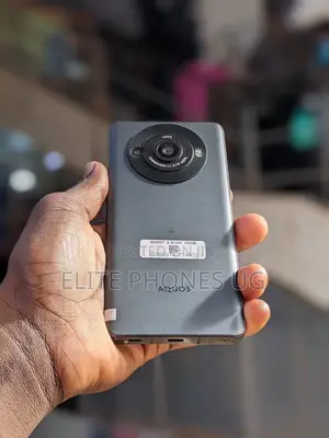 Sharp Aquos R8s Pro 256GB Gray