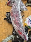 Audi Q5 Rear Lights (Used) - 2