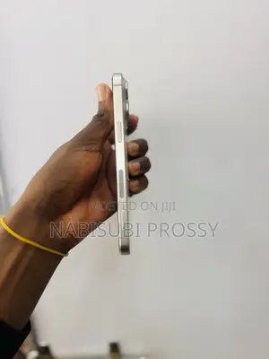 Apple iPhone 15 Pro Max 256GB Gray
