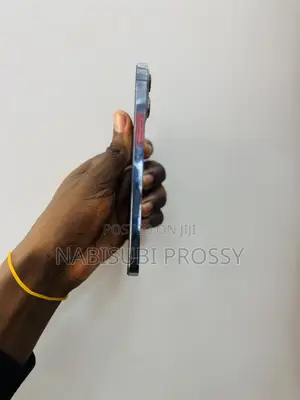 Apple iPhone 13 Pro Max 256GB Blue