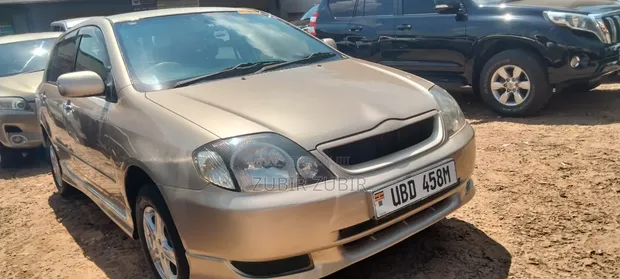 Toyota Allex 2004 Gold - 1