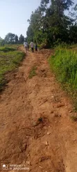 53x47 Plot for Sale in Mende, Wakiso - 1