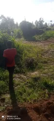 53x47 Plot for Sale in Mende, Wakiso - 3