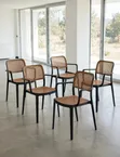 Conference Plastic Chairs (Brand New) - 1