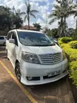 Toyota Alphard 2004 Pearl - 3