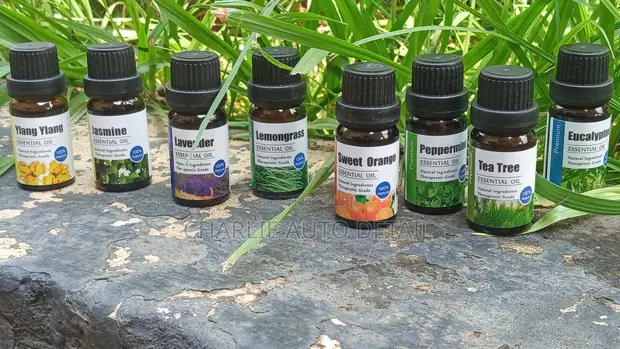 Premium Essential Oils Collection - 1