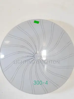 Ceiling Light - 3 Selectable Sources