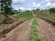 Land for Sale in Busunju - 2