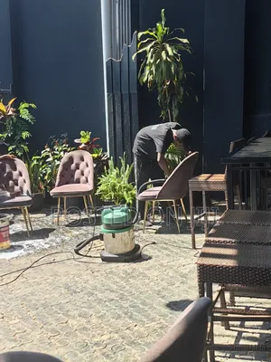 Sofa Set Cleaning Service by Frankinnocents