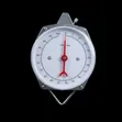 Portable Hanging Weighing Scale - 100Kg - 1