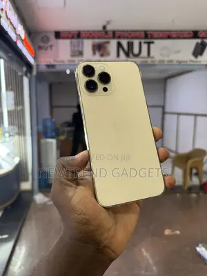 Apple iPhone 13 Pro Max 256GB Gold