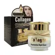 101E Collagen Restoring Day & Night Cream Set - 1