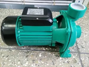 ACE Surface Water Pumps - All Sizes