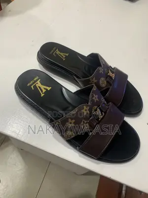 Louis Vuitton Men's Casual Shoes