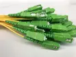 1:8 PLC Fiber Optic Splitter (SC/APC) - 2
