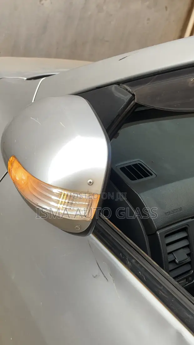 Indicating Side Mirror - Used - 1