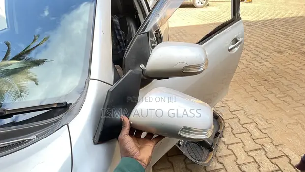 Standard Side Mirror - 1