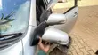 Standard Side Mirror - 1