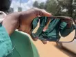 Mercedes-Benz W166 Windscreen Glass - 2