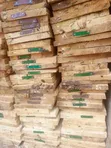 Timber Embawo Kirunda Shuttling 12x1 - 2