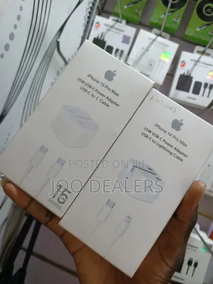 Apple iPhone Power Adapter (White)