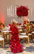 Glo Premium Events & Experiences: Event Planning & Decor - 4