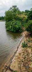 11 Acre Commercial Land for Sale - Mukono - 1