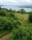 11 Acre Commercial Land for Sale - Mukono - 2