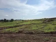 Residential Land for Sale in Wakiso Mabombwe - 3