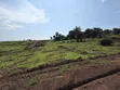 Residential Land for Sale in Wakiso Mabombwe - 4