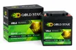Gold Star GSV50 12V 50Ah VRLA Deep Cycle Battery - 1